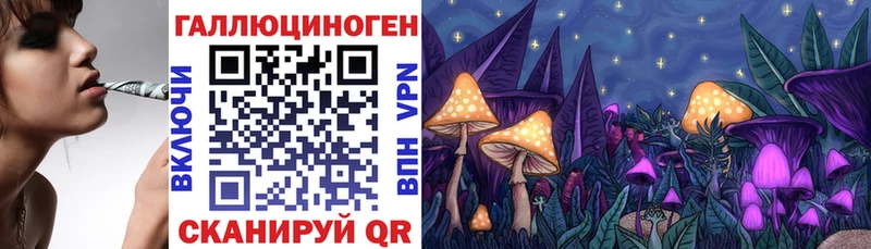 Купить  Юрга  Псилоцибиновые грибы GOLDEN TEACHER 